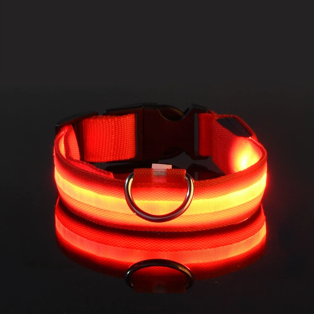 Correa de nailon con luz LED para perro