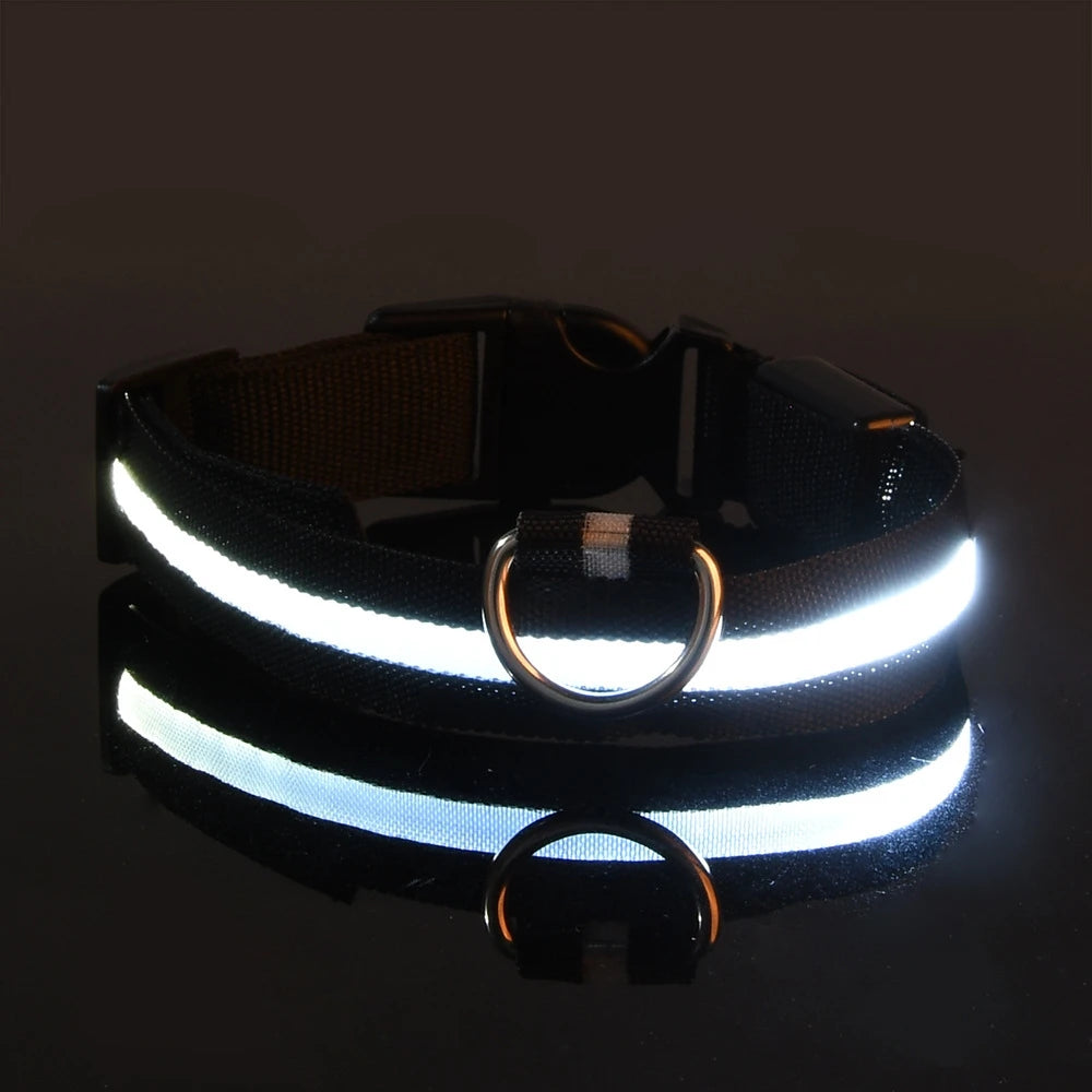 Correa de nailon con luz LED para perro