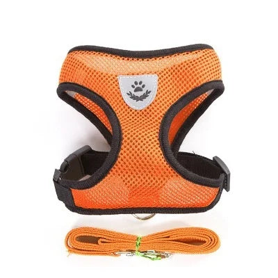 Arnés y Correa Ajustable para Perros y Gatos.