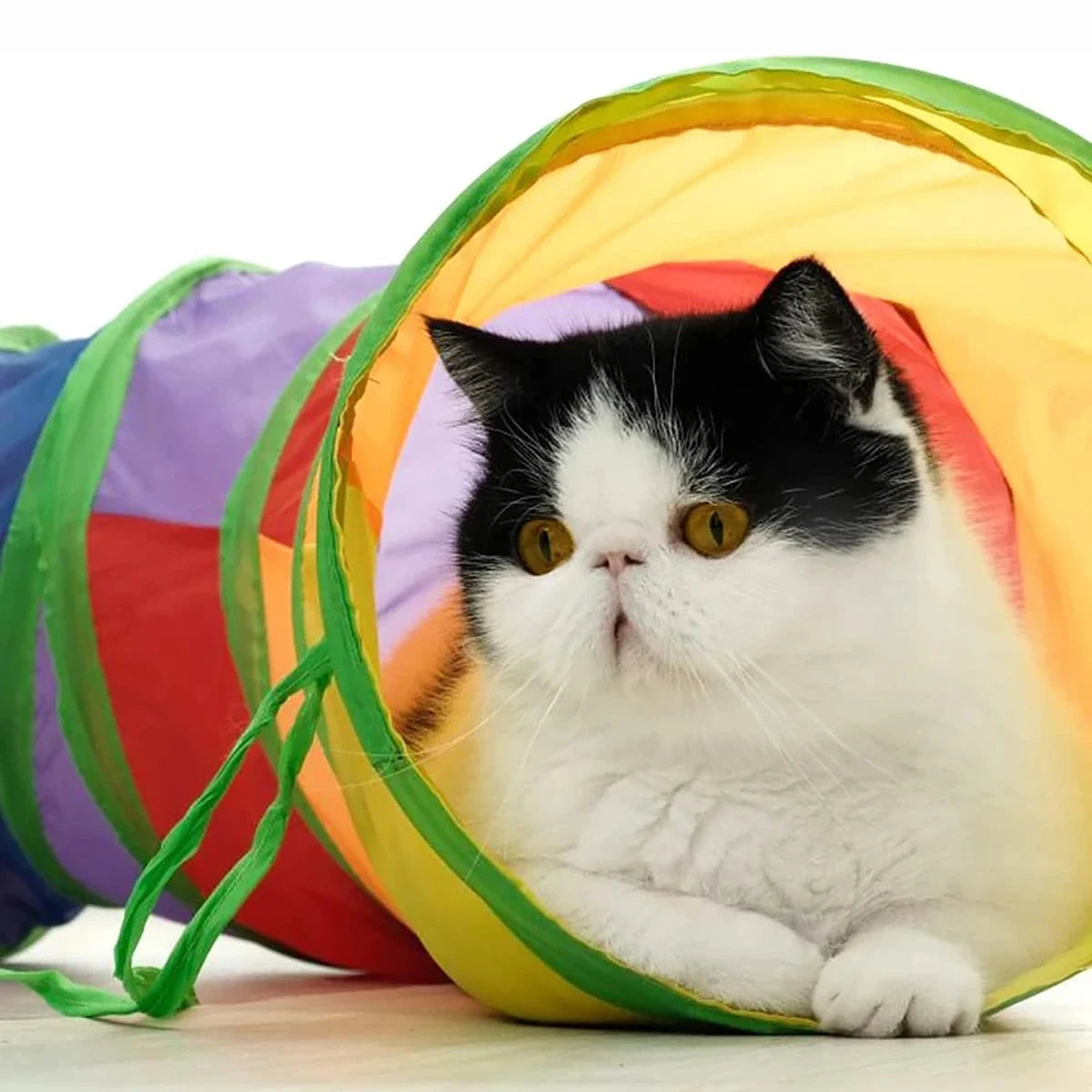 Túnel plegable para gatos