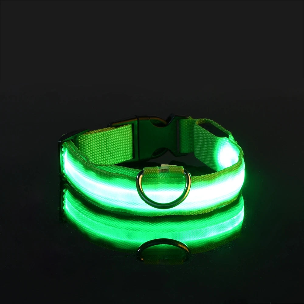 Correa de nailon con luz LED para perro