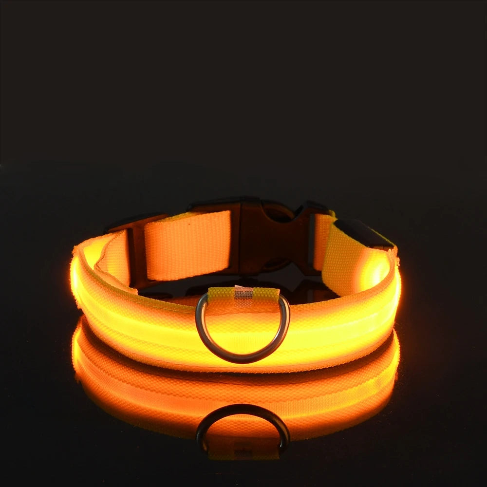 Correa de nailon con luz LED para perro