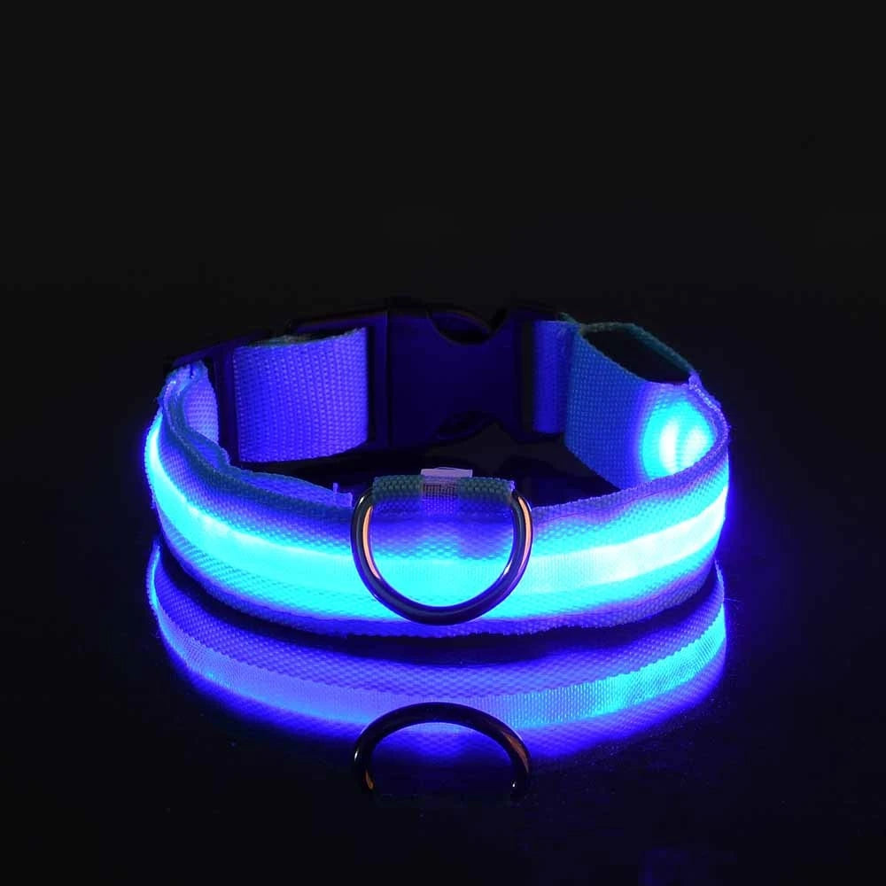 Correa de nailon con luz LED para perro