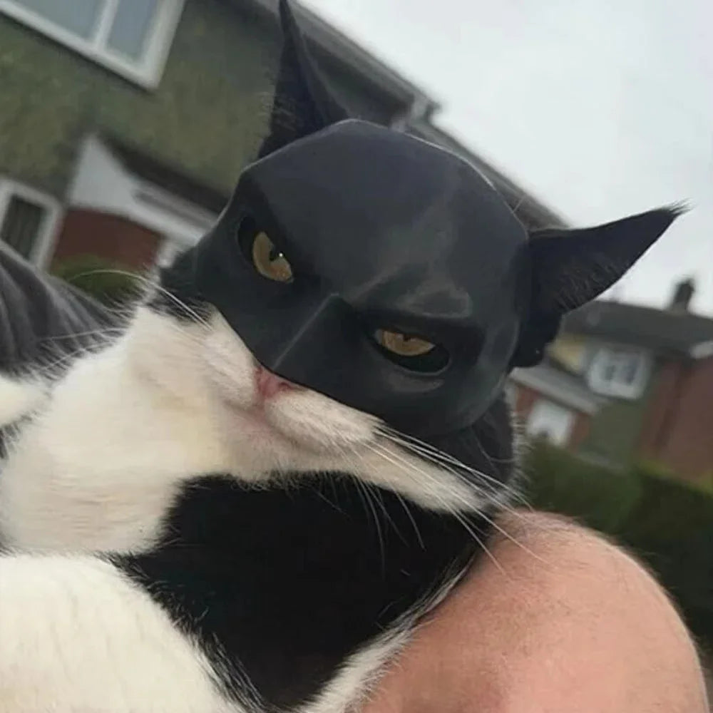 Máscara de Vengador para Gato, Murciélago, Halloween.