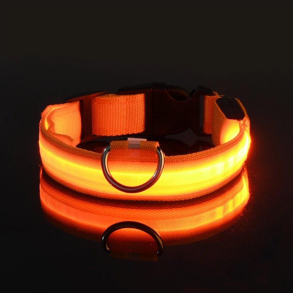 Correa de nailon con luz LED para perro