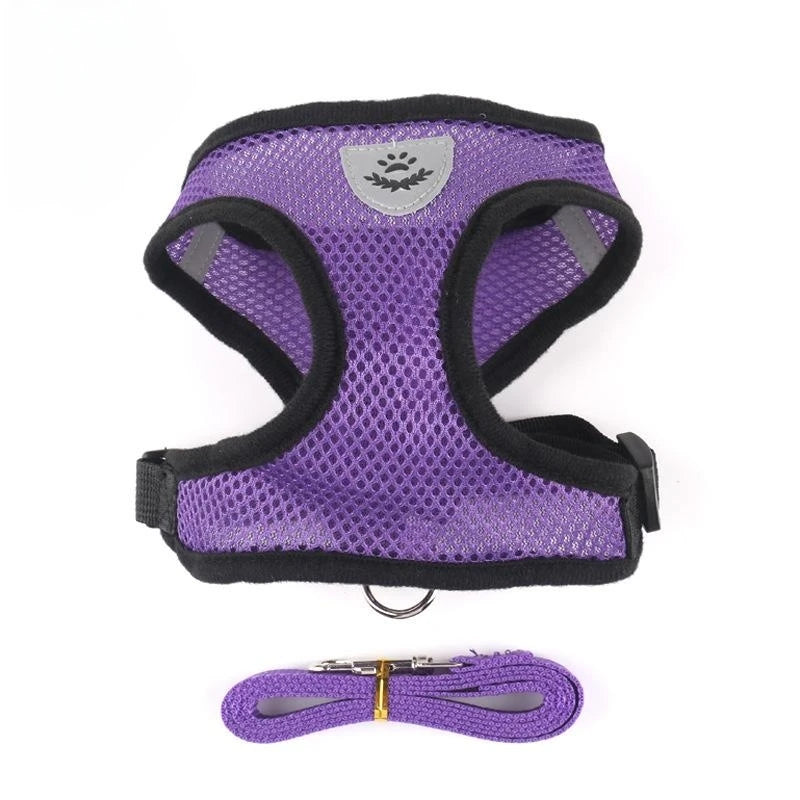 Arnés y Correa Ajustable para Perros y Gatos.