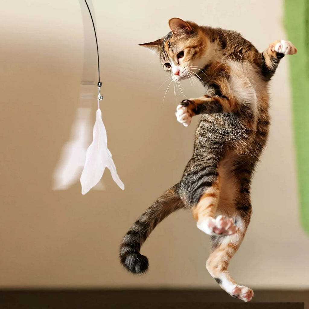 Juguete interactivo para gatos: varita con pluma y cascabel, asta larga con ventosa para emocionantes aventuras de juego, el juguete definitivo para gatos.