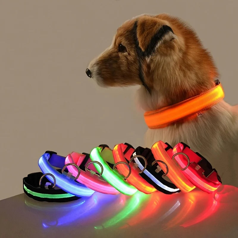 Correa de nailon con luz LED para perro