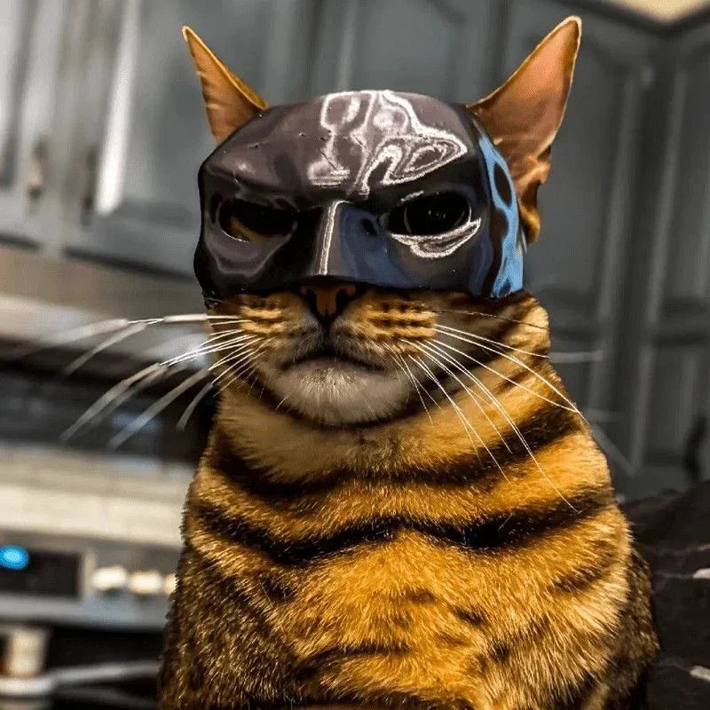 Máscara de Vengador para Gato, Murciélago, Halloween.