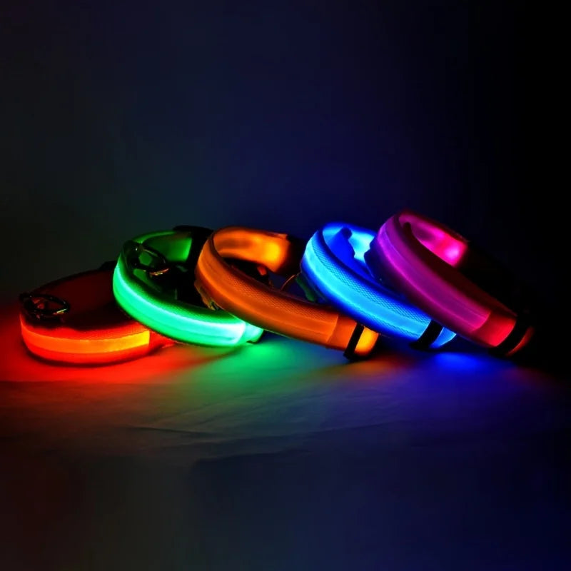Correa de nailon con luz LED para perro