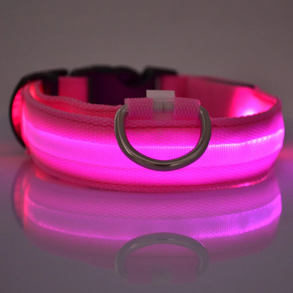 Correa de nailon con luz LED para perro