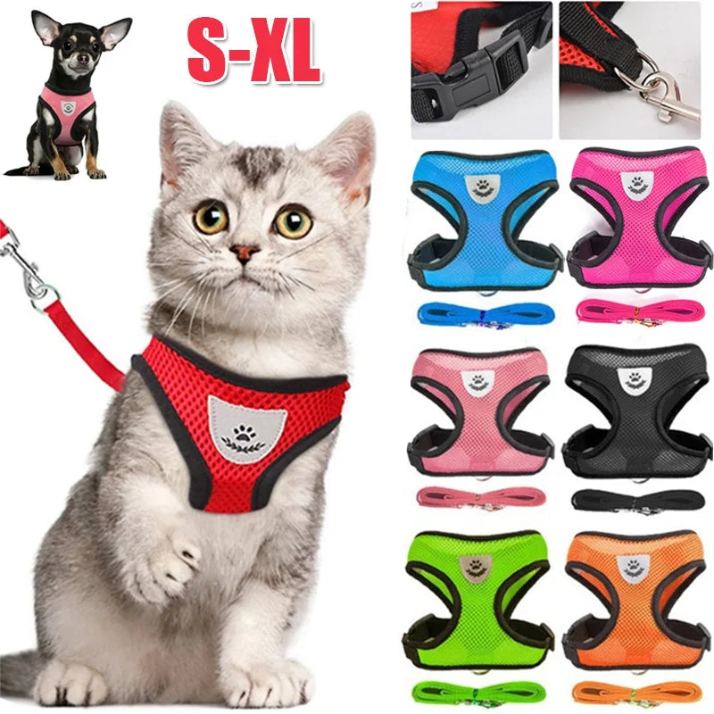 Arnés y Correa Ajustable para Perros y Gatos.