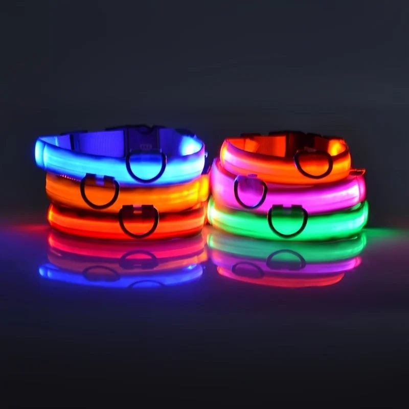 Correa de nailon con luz LED para perro