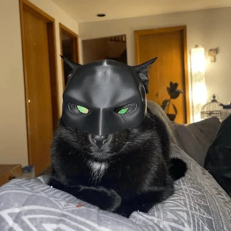 Máscara de Vengador para Gato, Murciélago, Halloween.