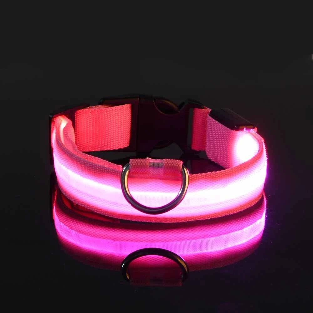 Correa de nailon con luz LED para perro