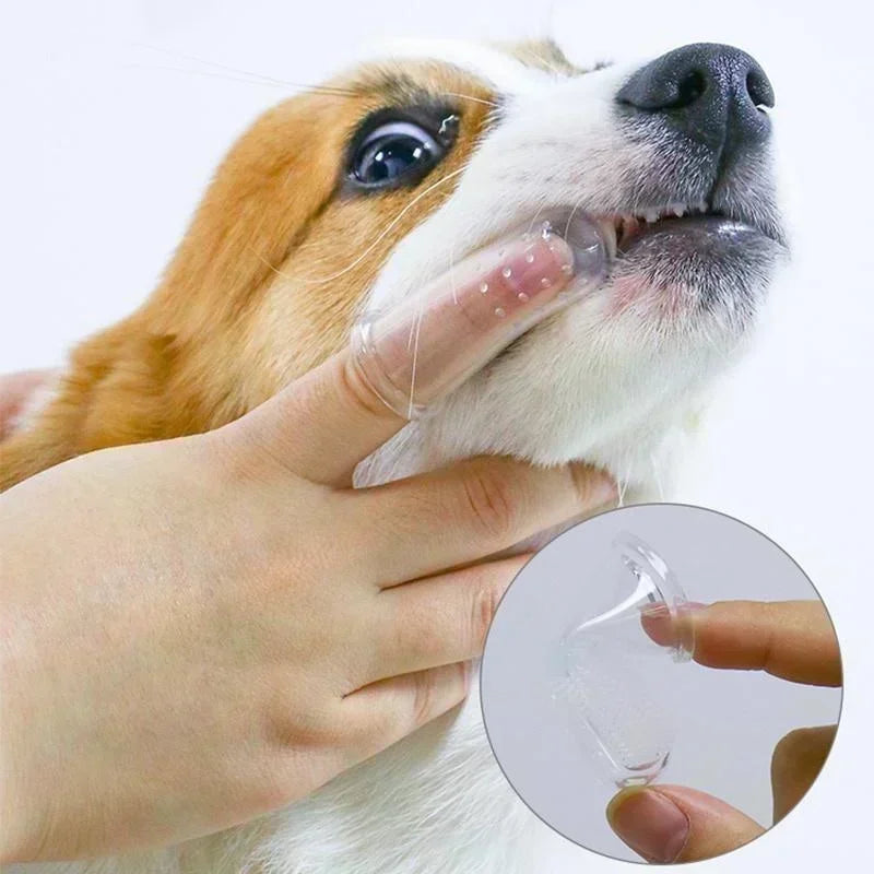 Pack de 5 Cepillos de Dientes de Silicona para Dedos